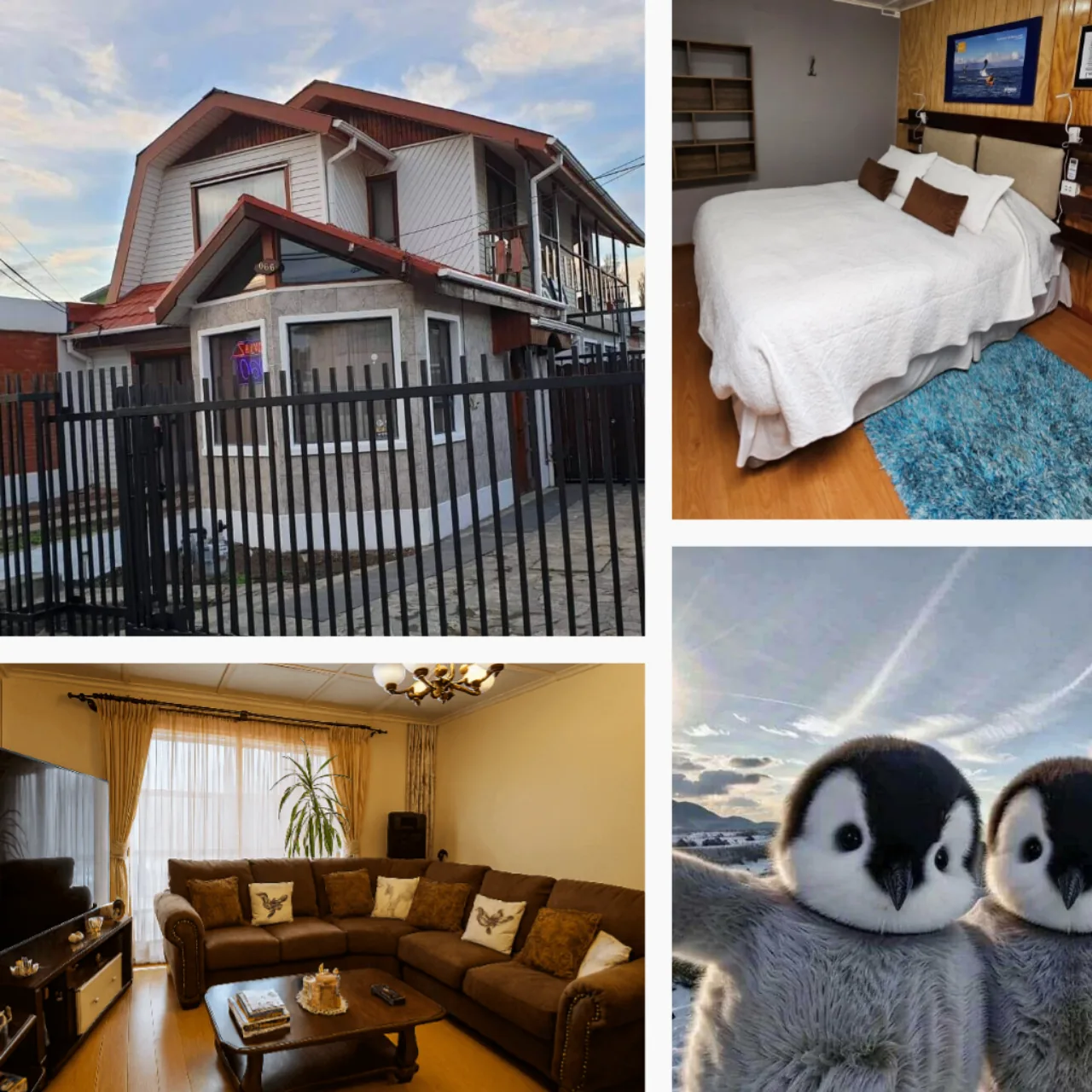 Fachada de La Casa Guesthouse, habitación y sala de estar del hostal en Punta Arenas